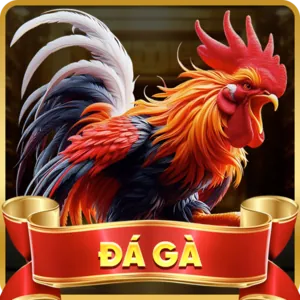 Hỗ trợ khách hàng 24/7 full88